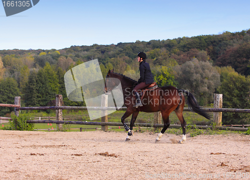 Image of pretty young woman rider in a competition riding