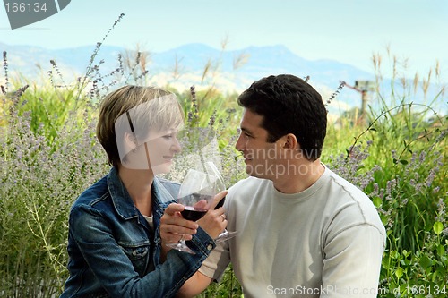 Image of Picnic with wine