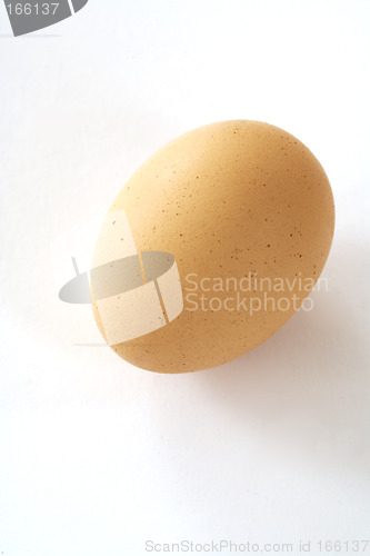 Image of egg
