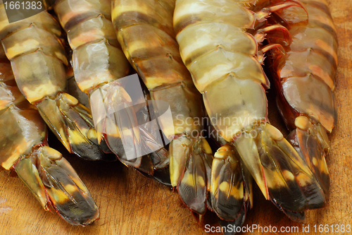 Image of big fresh tiger prawns, king prawns, shrimp