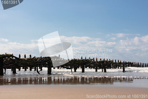 Image of mussel farming on the coast of opal in the north of France