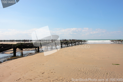 Image of mussel farming on the coast of opal in the north of France