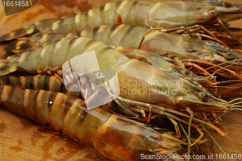 Image of big fresh tiger prawns, king prawns, shrimp