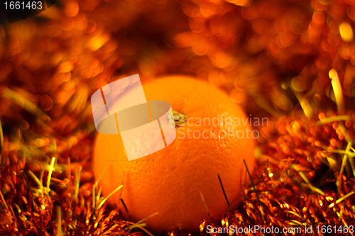 Image of orange close up on a background of twinkling garlands