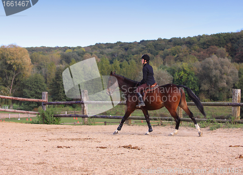 Image of pretty young woman rider in a competition riding