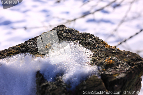 Image of campaign under the sun and winter snow