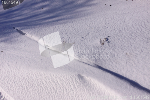 Image of snowy landscape in the winter sun in France