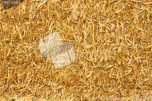 Image of close-up of a stack of straw in the sun