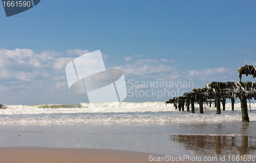 Image of mussel farming on the coast of opal in the north of France