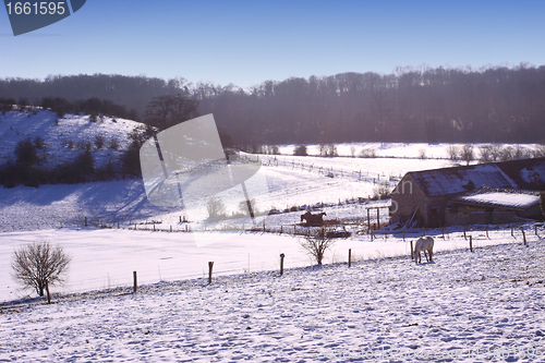 Image of campaign under the sun and winter snow