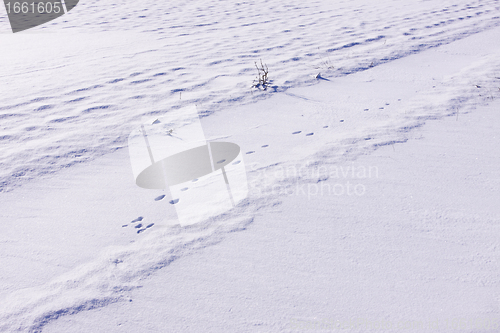 Image of snowy landscape in the winter sun in France