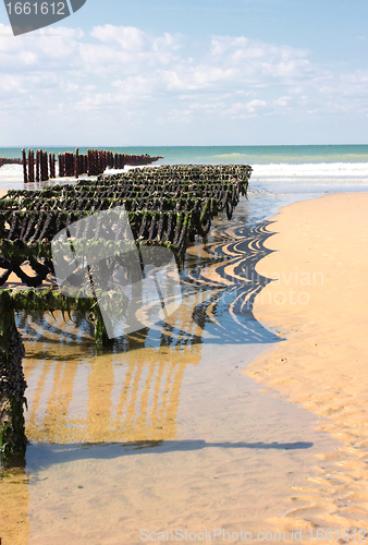 Image of mussel farming on the coast of opal in the north of France