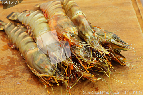 Image of big fresh tiger prawns, king prawns, shrimp