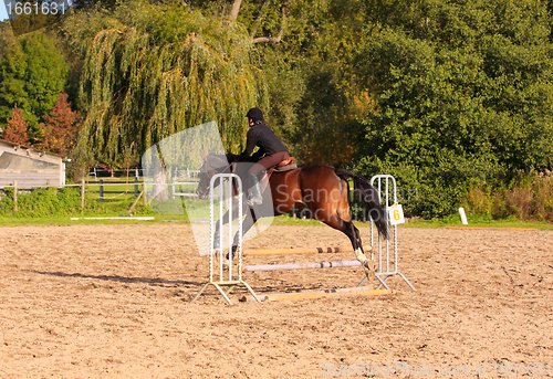 Image of pretty young woman rider in a competition riding