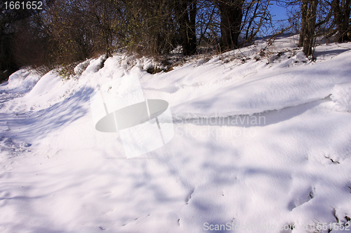 Image of campaign under the sun and winter snow