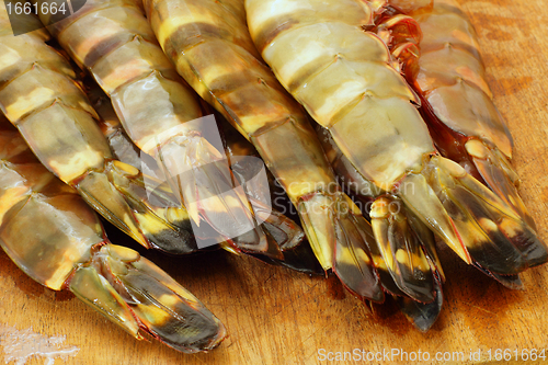 Image of big fresh tiger prawns, king prawns, shrimp