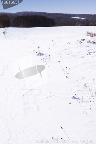 Image of snowy landscape in the winter sun in France