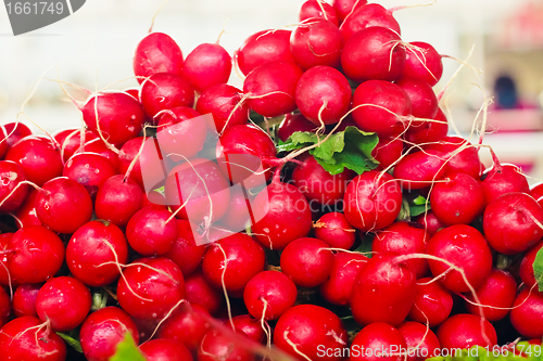 Image of Farm Fresh Radishes on a market