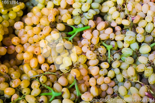 Image of Fresh green grapes at market place