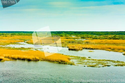 Image of River and gold meadow