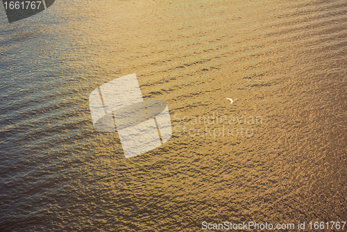 Image of white seagull flying over deep blue waves