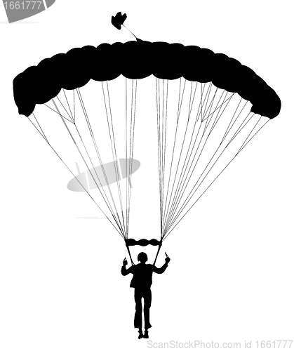 Image of Skydiver