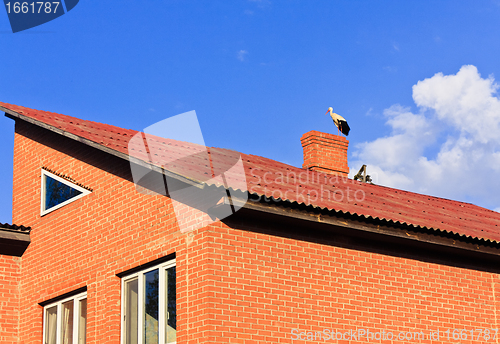 Image of beautiful stork stand on roof