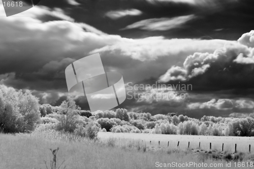 Image of Ruhr floodplain infrared