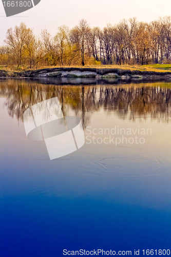 Image of Spring forest river with reflection of the sky