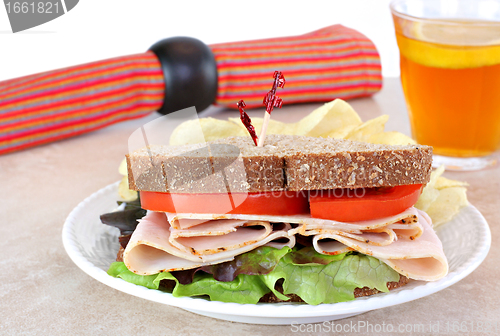 Image of Healthy turkey sandwich on whole wheat bread.