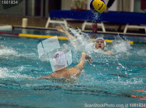 Image of Dynamo(Moscow) vs Sintez (Kazan) of waterpolo