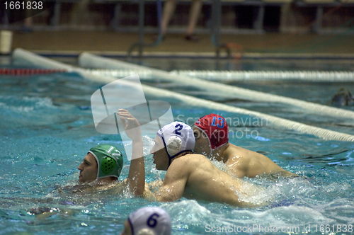 Image of Dynamo(Moscow) vs Sintez (Kazan) of waterpolo