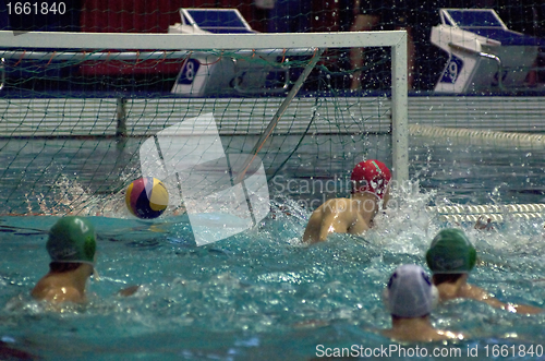 Image of Dynamo(Moscow) vs Sintez (Kazan) of waterpolo