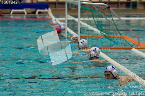Image of Dynamo(Moscow) vs Sintez (Kazan) of waterpolo