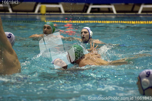 Image of Dynamo(Moscow) vs Sintez (Kazan) of waterpolo