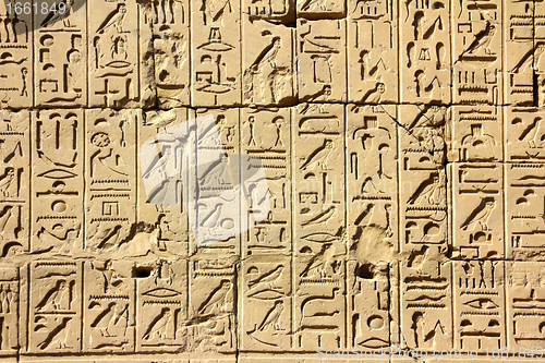 Image of ancient egypt hieroglyphics in karnak temple