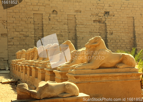 Image of egypt statues of sphinx in karnak temple