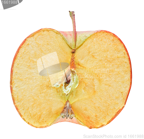 Image of Apple fruit