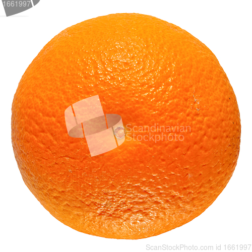 Image of Orange fruit