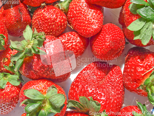 Image of Strawberries