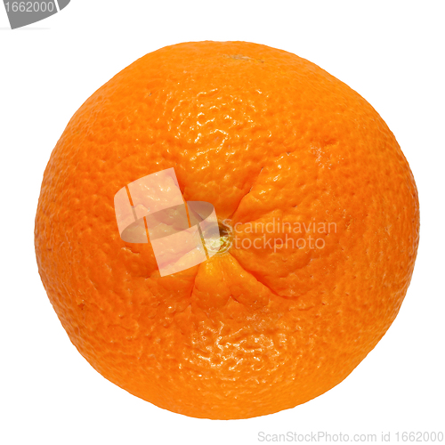 Image of Orange fruit