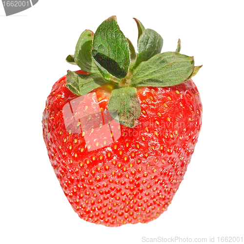 Image of Strawberries