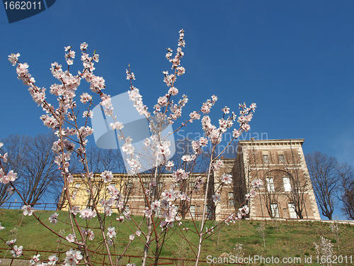 Image of Castello di Rivoli, Italy