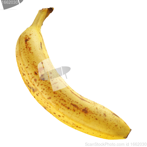 Image of Banana fruit
