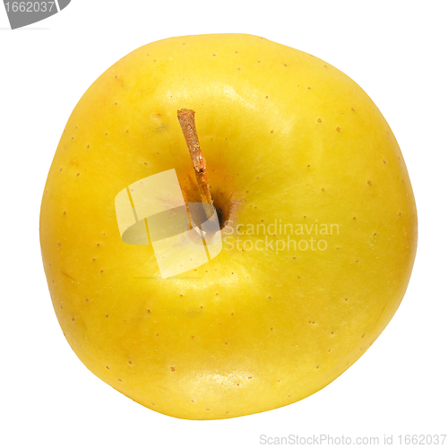 Image of Yellow Apple