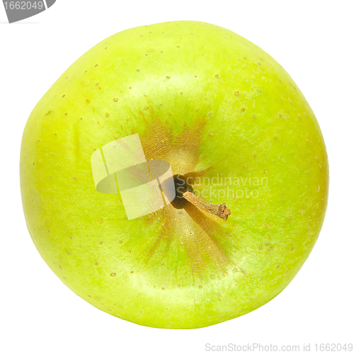 Image of Granny Smith Apple