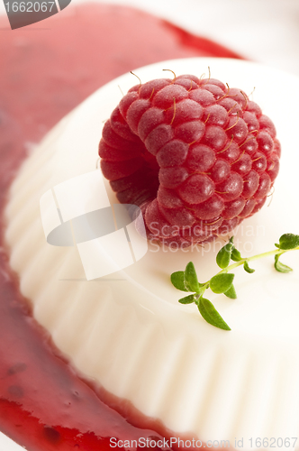 Image of Vanilla panna cotta with berry sauce