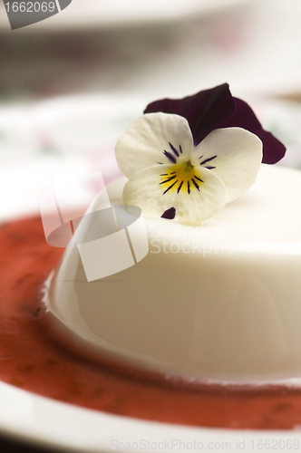 Image of Vanilla panna cotta with berry sauce and spring flower