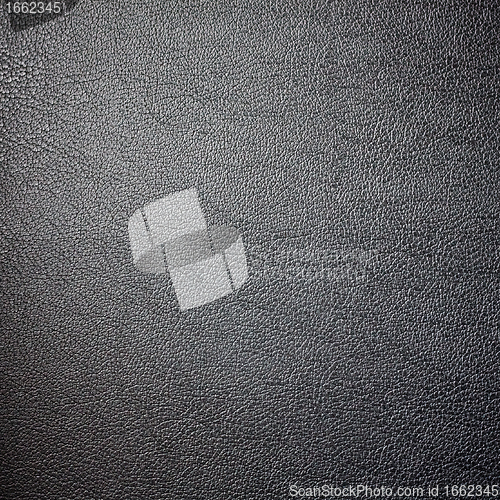 Image of Leather texture made from deer skin