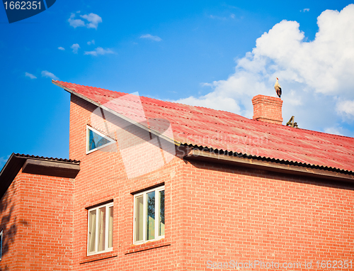 Image of beautiful stork stand on roof